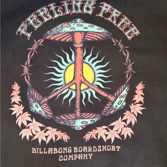 Billabong Black Pullover Hoodie with Small Multicolor Chest Emblem - Picture 5 of 5